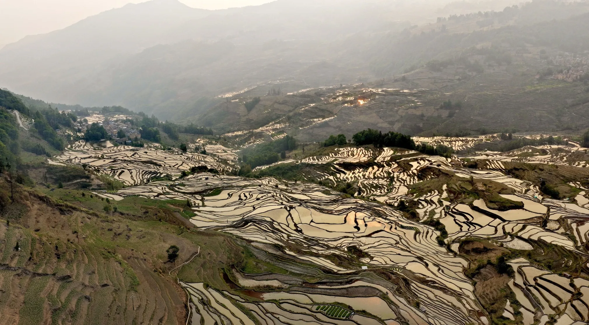 Chinese geography with vast, winding rice terraces filling valleys and mountainsides, reflecting the sky. Main agricultural region for rice.