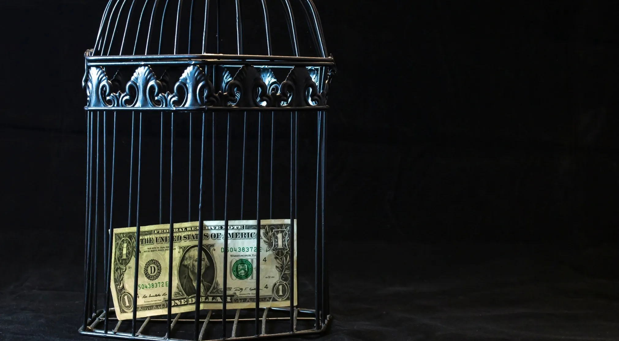 A single US dollar bill trapped inside a birdcage, symbolizing constraints and political science challenges.
