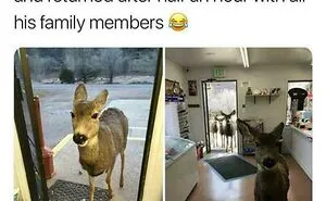 40 Times The Real Joke Was Found In The Comments (New Pics)