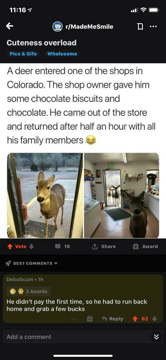 Nice Pun There