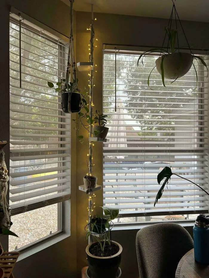 A vertical plant display with fairy lights in a corner, showing creativity in decorating with plants and minimizing junk.