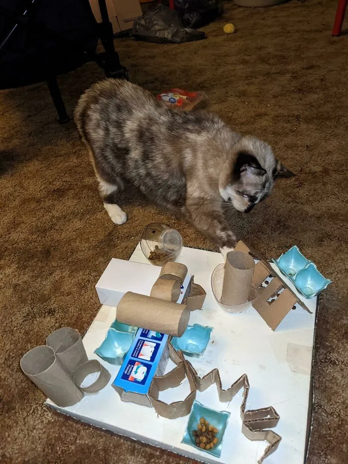 Random Trash -> Cat Puzzle