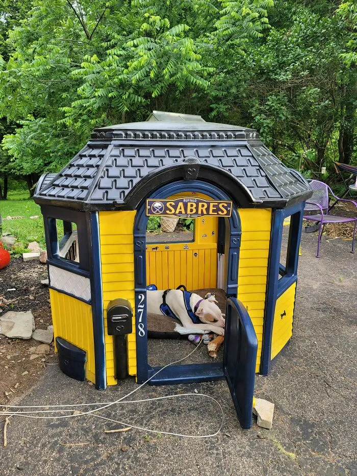 Repurposed Kids House 🐕