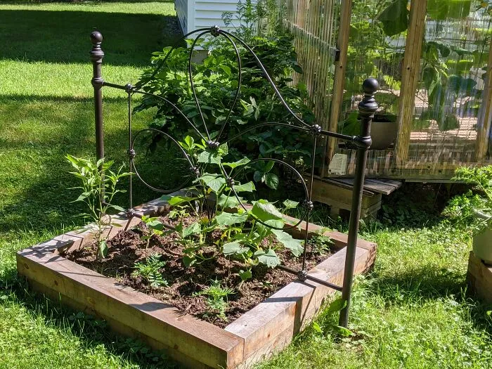 Repurposed Broken Headboard Into Garden Trellis