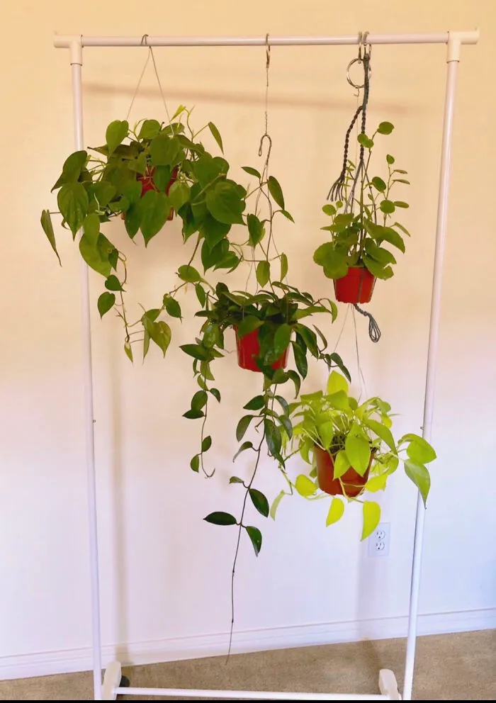 Hanging plants in red pots on a white rack, an example of creativity with old junk.