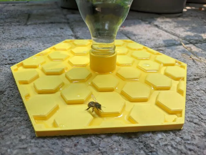 Printed An Insect Water Station For Some Thirsty Boys In Europe, Had My First Visitor After A Few Minutes