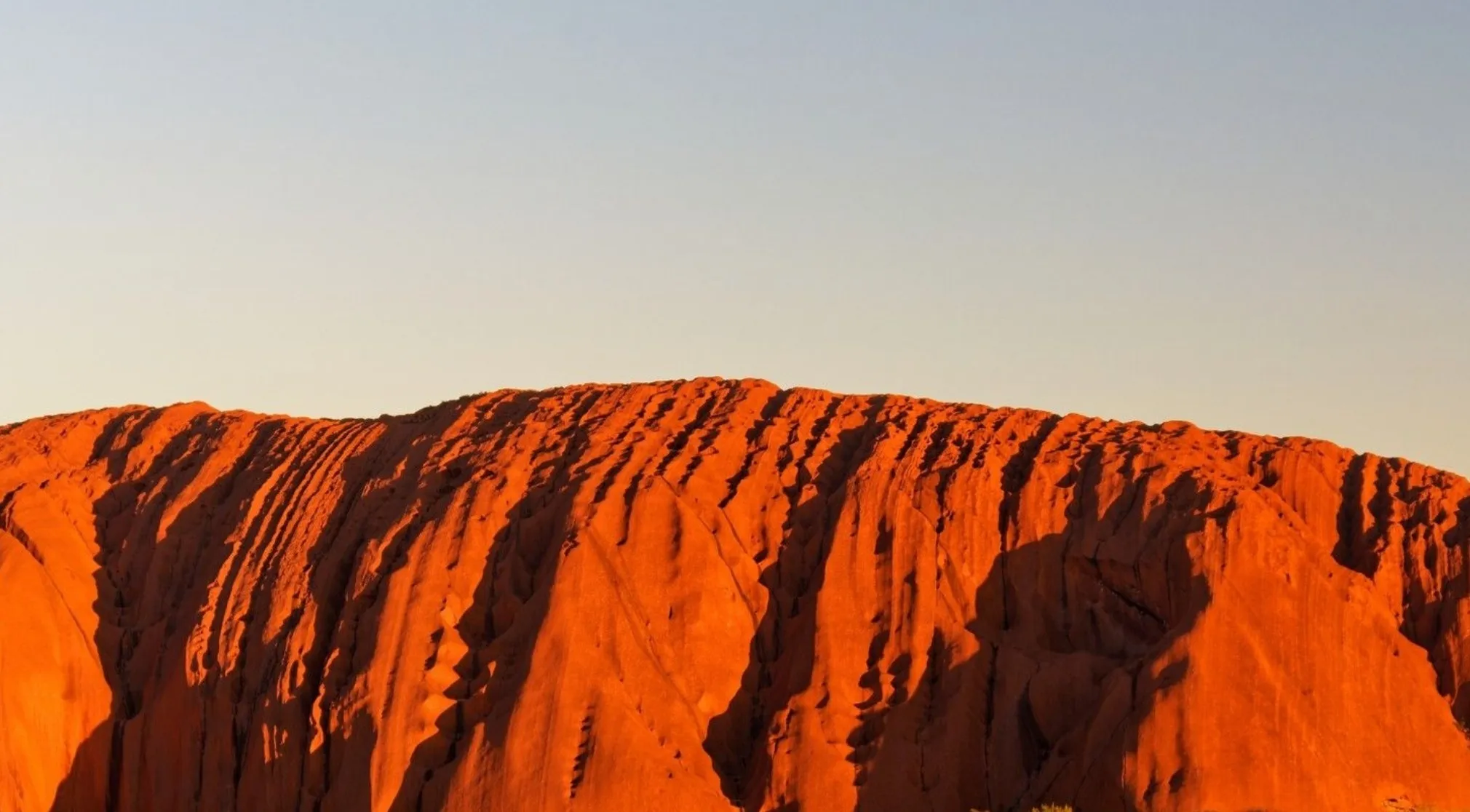 Zoomed in view of Uluru, an iconic Australian landmark, glowing orange in the warm sunlight under a pale sky.