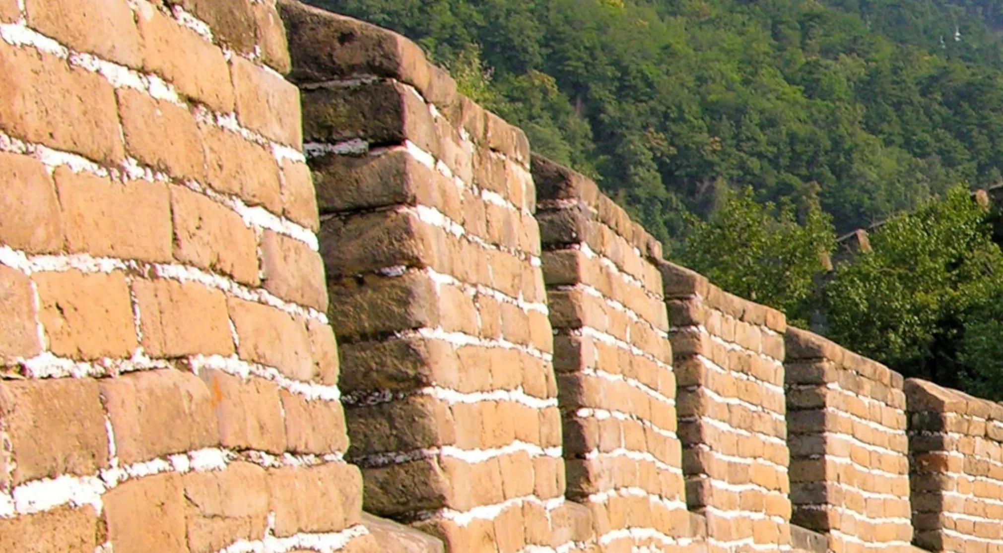Close-up of a famous landmark, the Great Wall of China, showing its brick and mortar construction against a green, forested hill.