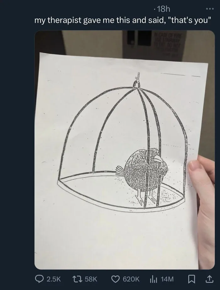 I Think This Belongs Here