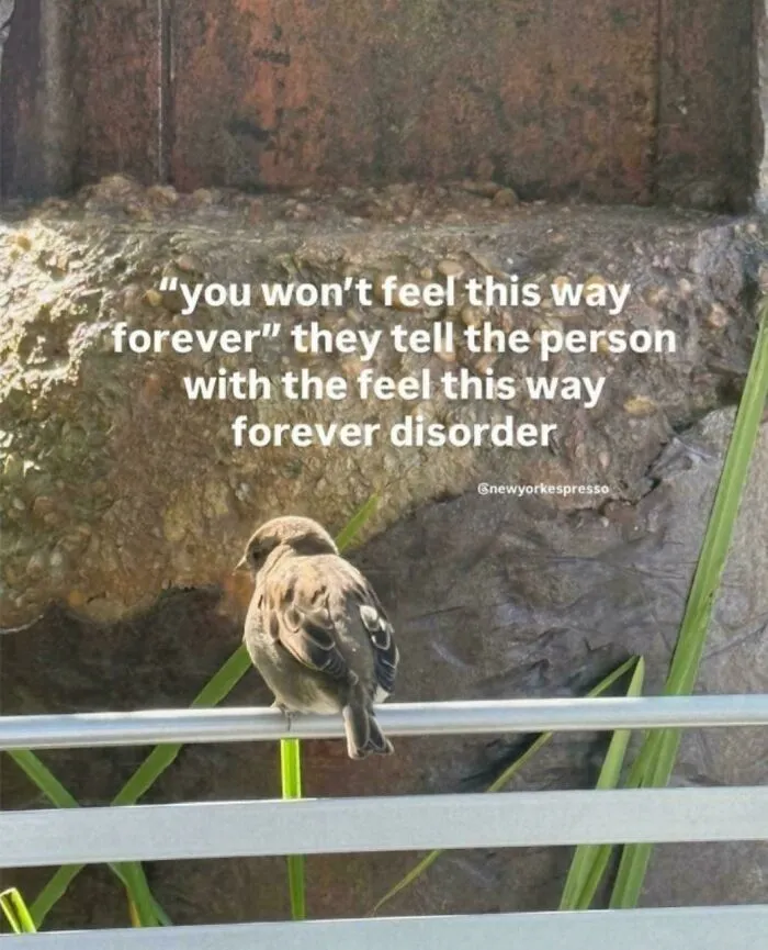 A small bird perched on a railing with text giving unhelpful advice about feelings.