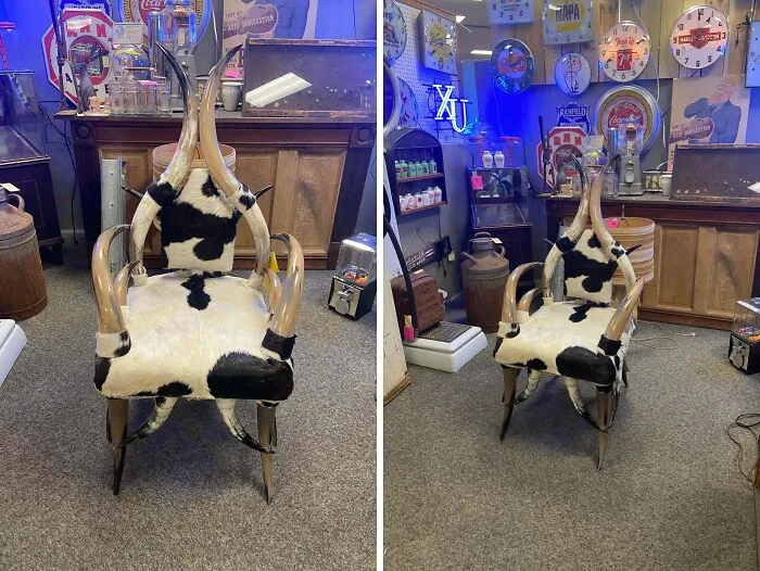 A black and white cowhide chair with large horns, an example of bizarre furniture design.