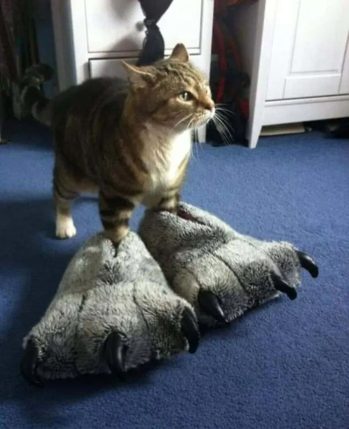 31 Funny Animal Encounters Shared By This Page That Would Sound Fake If Not Caught On Camera