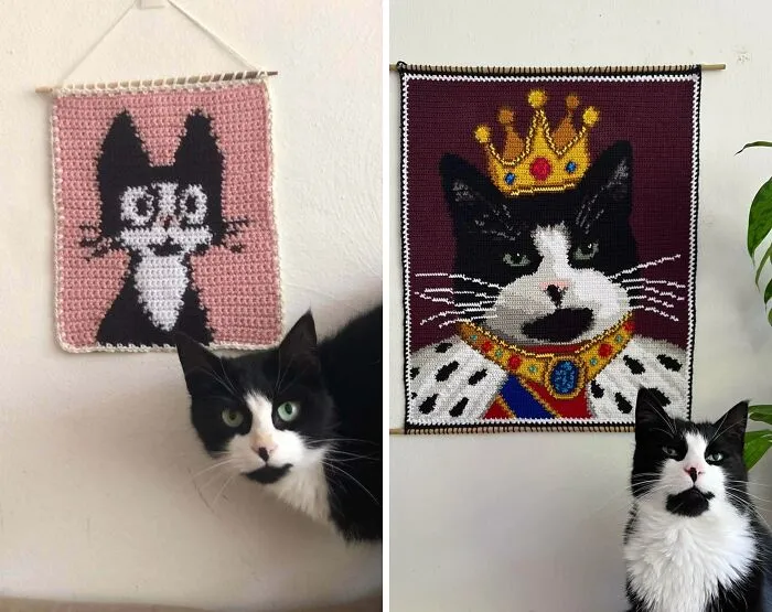 Mi primer intento de hacer un tapiz de mi gato vs el último