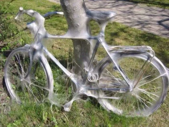 A Bicycle Covered In Spider Webs