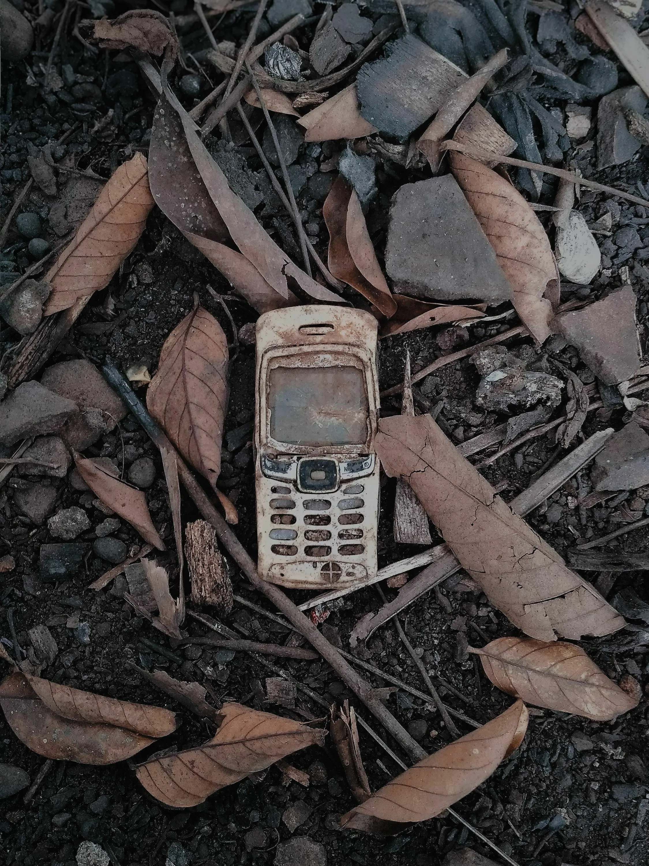 An old cell phone, rusted and worn, lies on the ground amidst dry leaves and dirt.