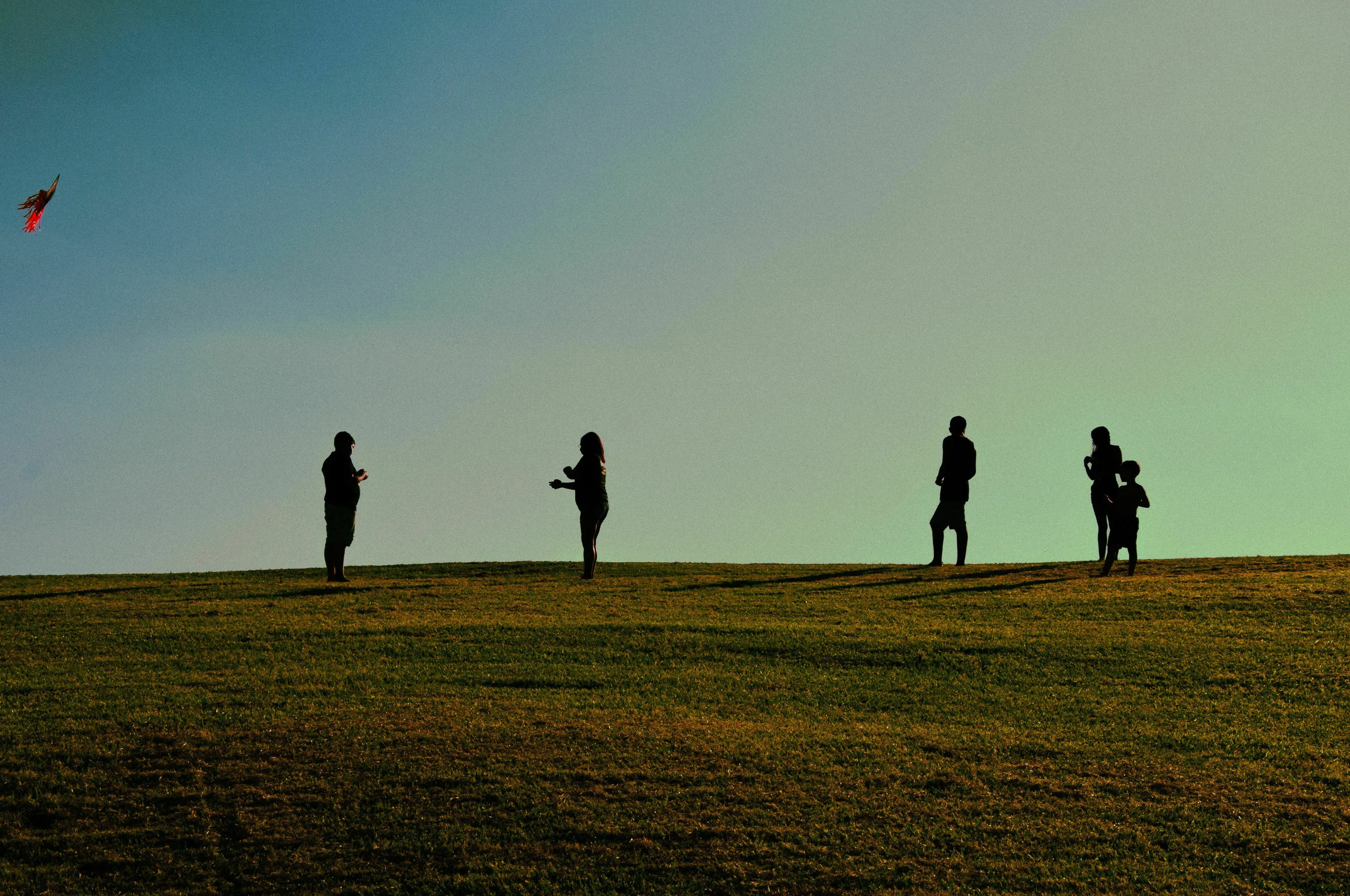 Silhouetted people on a grassy hill, with a bird in the distance. An unresolved mystery related to spending a free afternoon.