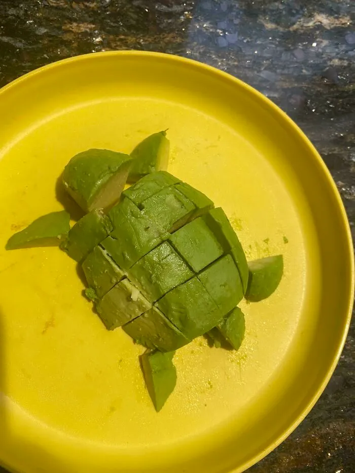 I Made A Turtle 🐢
