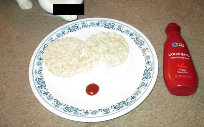 Stale Rice Cakes Dipped In Gochujang Chili Sauce, Eaten On The Dirty Floor Next To My Curious Cat (Censored To Protect Her Identity)
