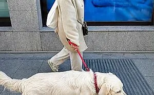 77 Perfectly Timed Street Photos Where People And Their Surroundings Line Up Brilliantly