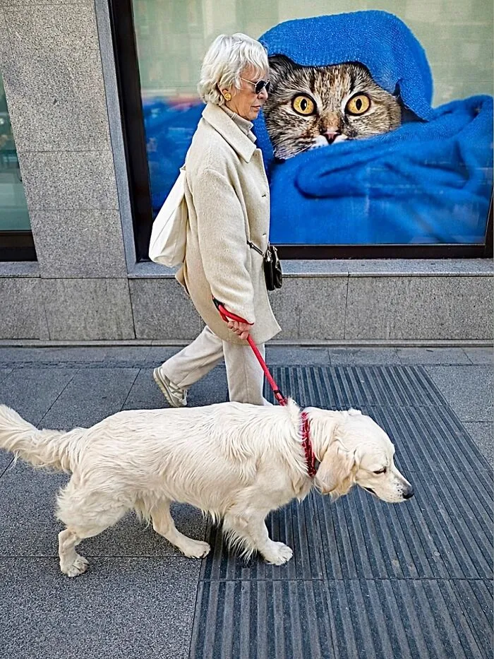 35 Divertidas fotos «accidentales» tomadas en el momento justo por este fotógrafo callejero