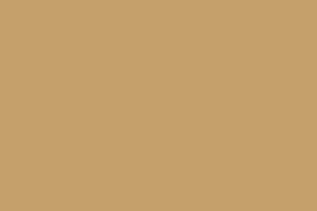 A solid color background, pick a color that resembles a light brown or tan.