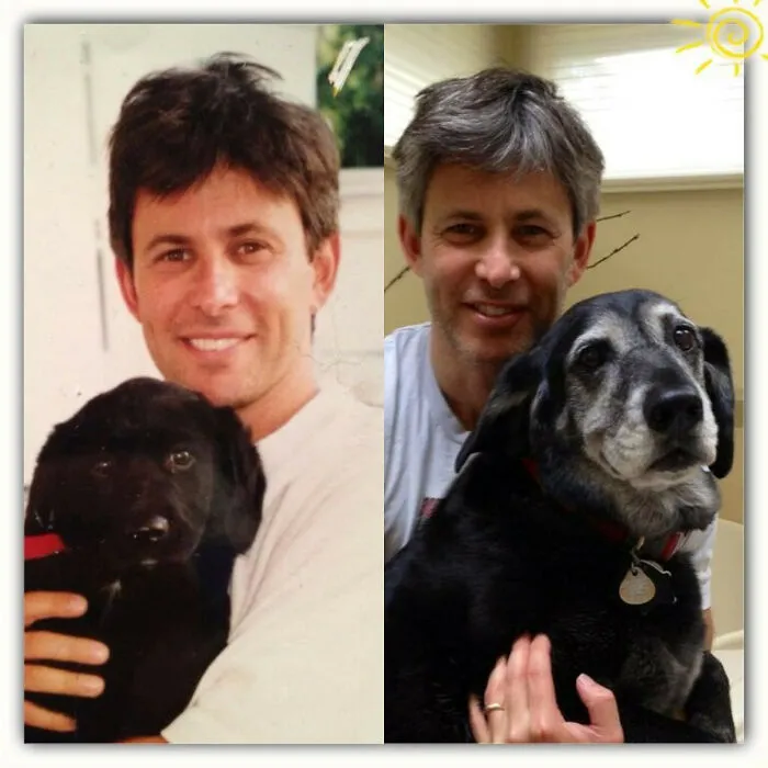 Getting Grey, 15 Years Together