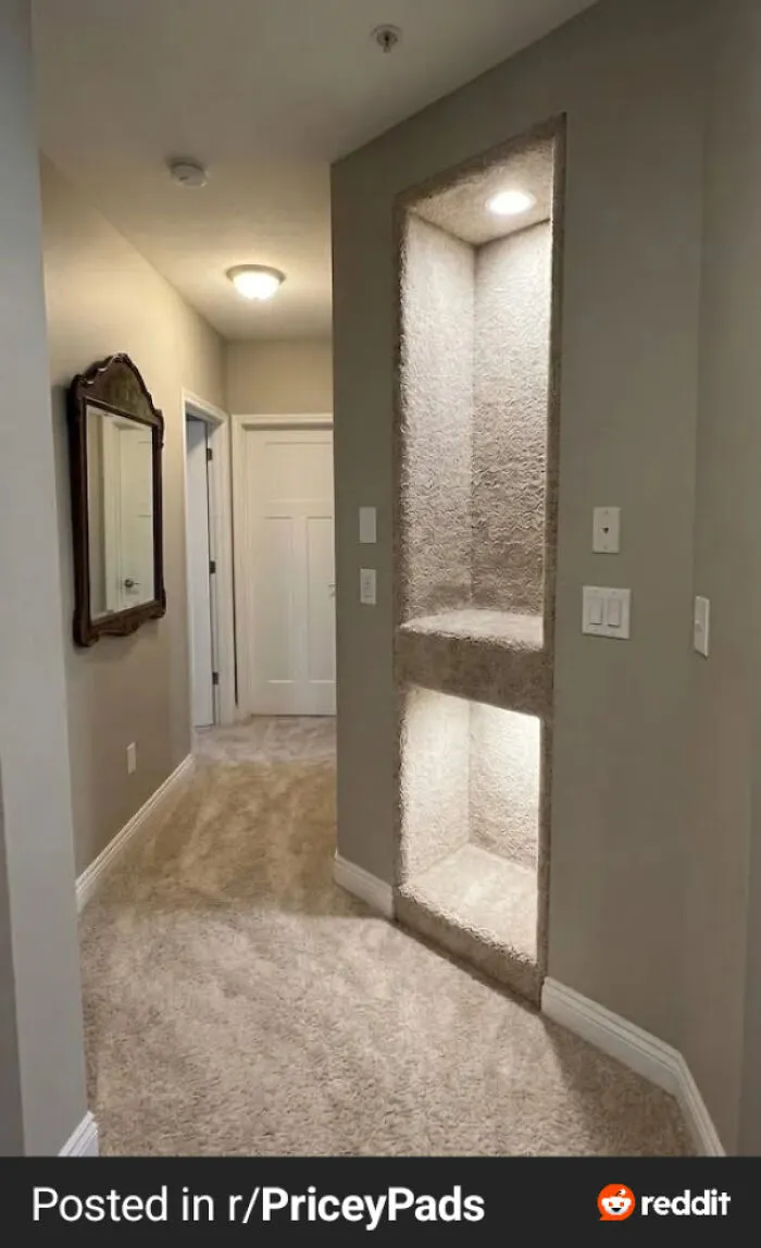 We Had A Remnant Of Carpet Leftover So I Improved This Niche. Now My Wife Wants Me To Remove It!