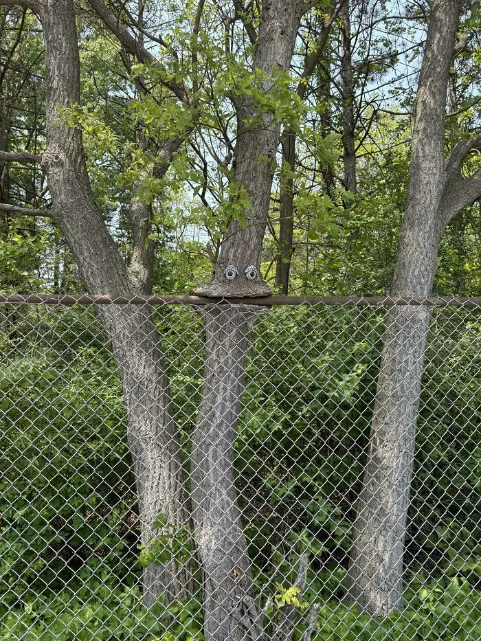 Nummy Fence
