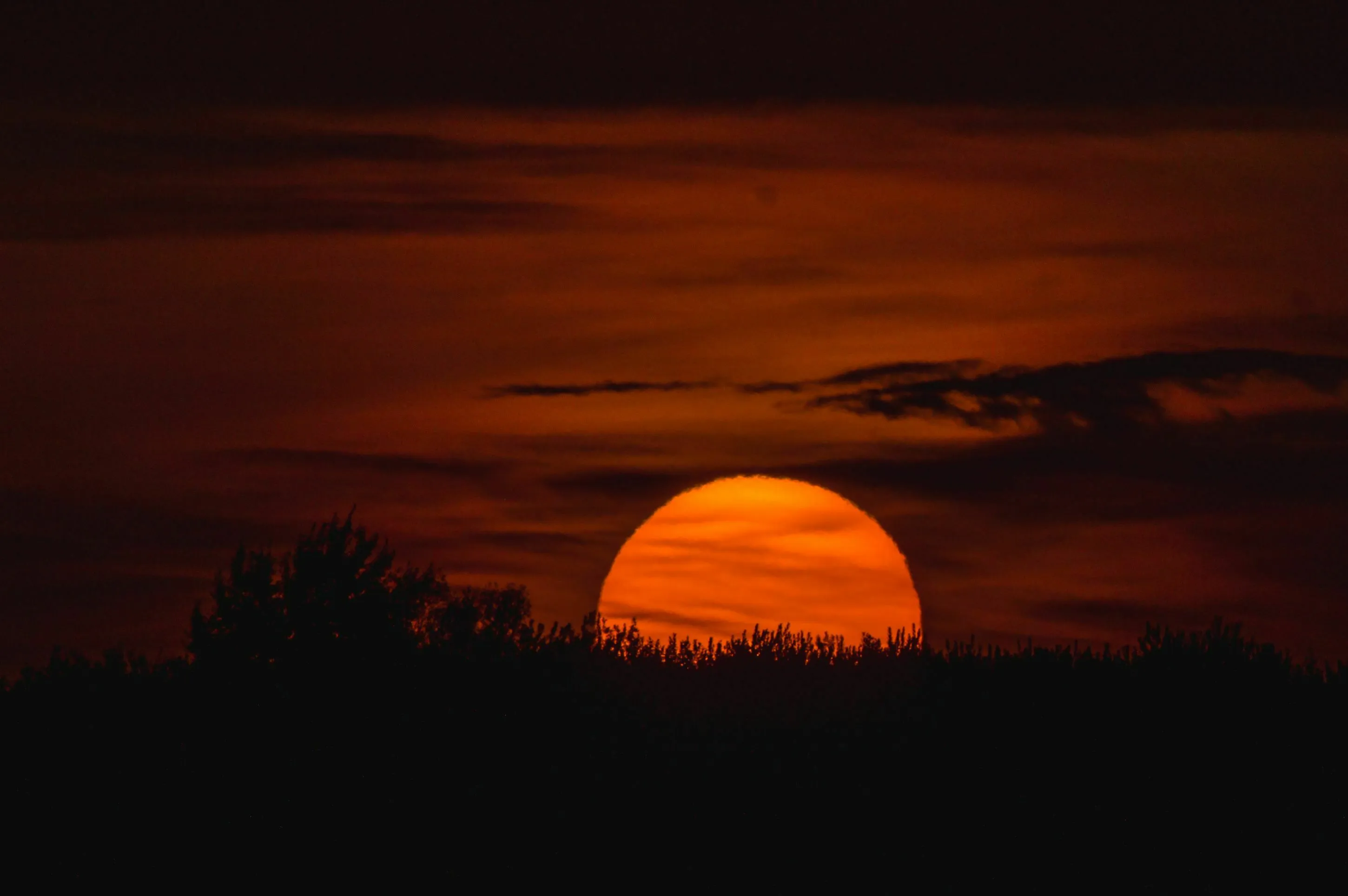 A vibrant red and orange sunset over a dark silhouette of trees, representing the shortest day of the year in a pub trivia quiz.