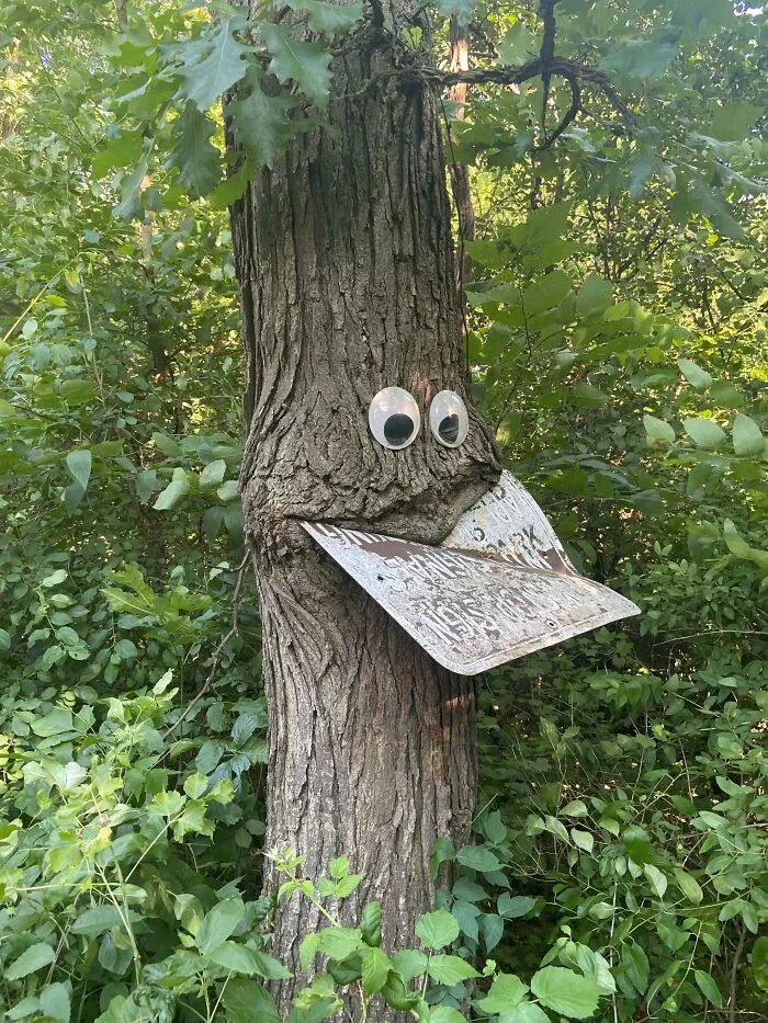 Well Done Person, Well Done