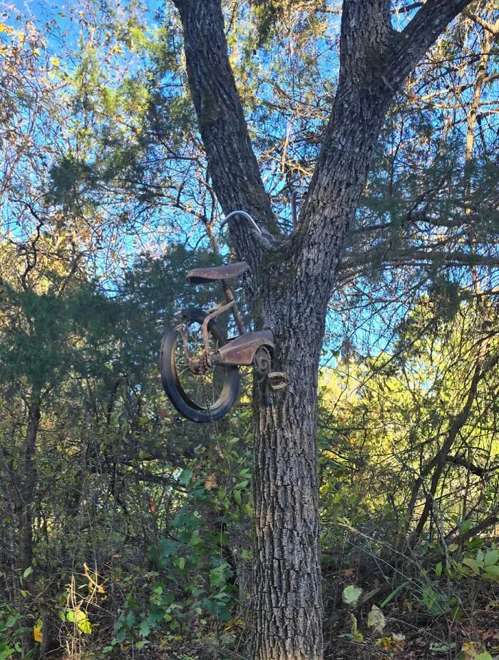I Heard Y'all Like Trees Eating Things