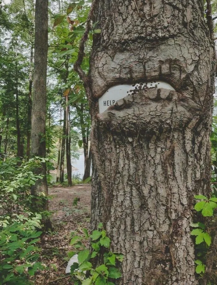 Sign Devoured By Hangry Tree
