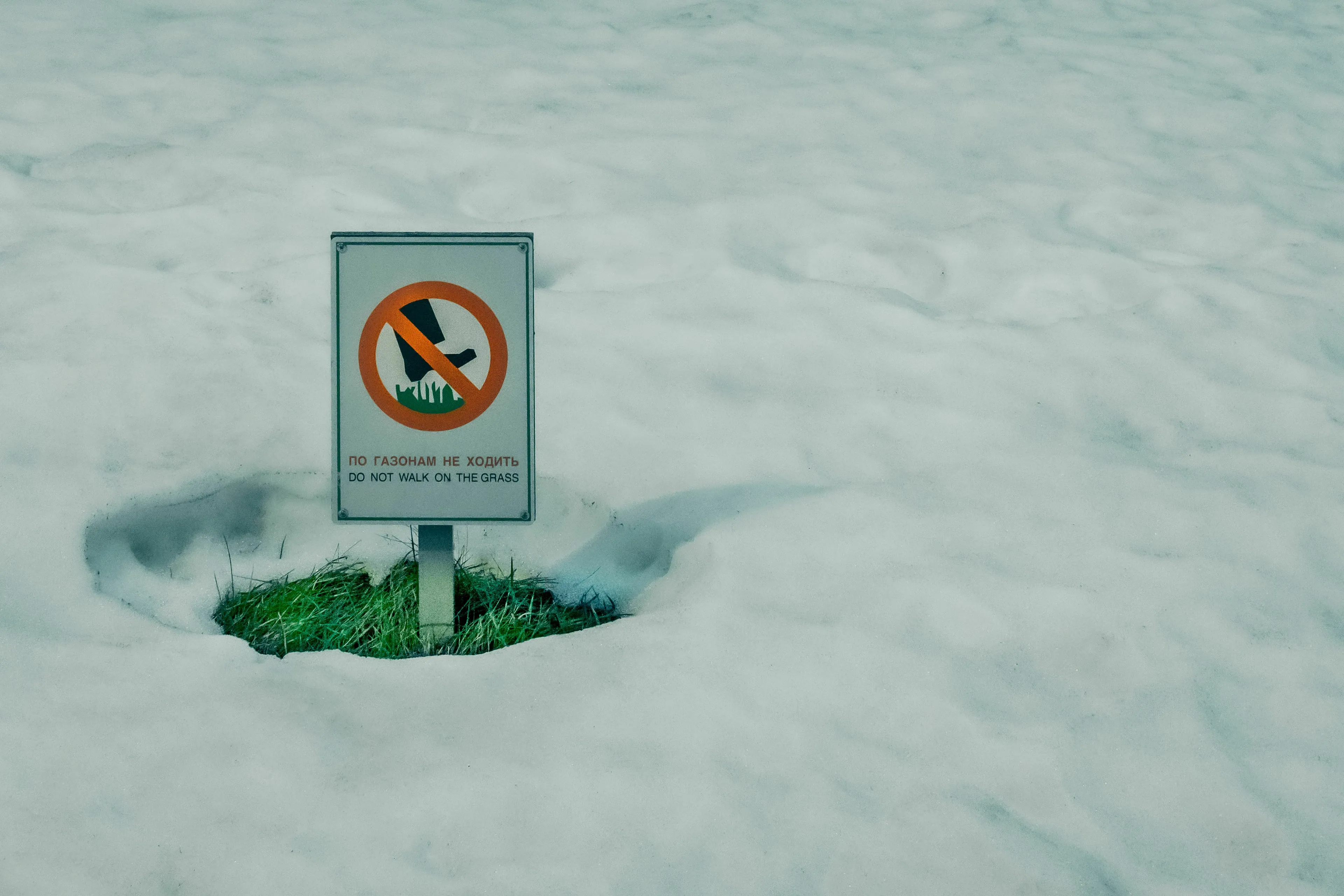 A 'Do Not Walk On The Grass' sign surrounded by snow with a small patch of green grass visible.