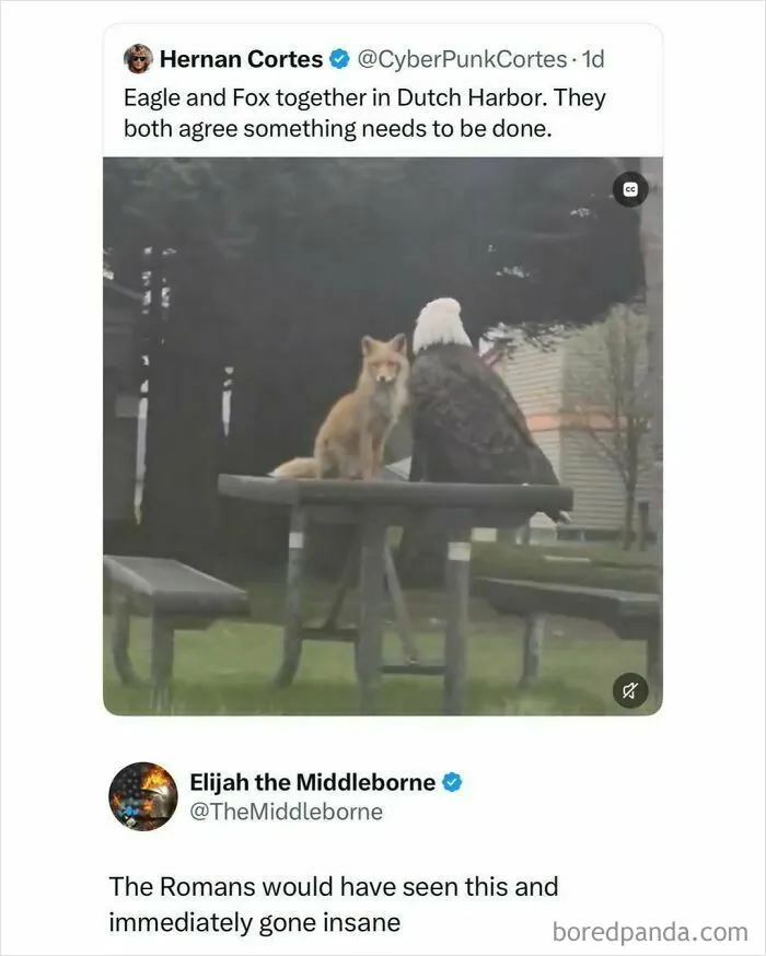 87 Hilarious Screenshots That Prove Not All Social Media Posts Are Toxic And Negative