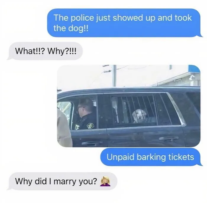 Doggo