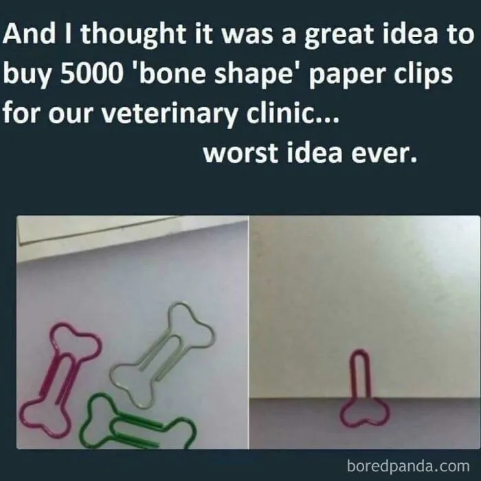 They Fell Right Into This One