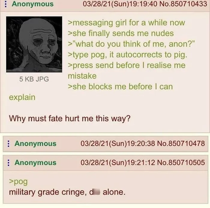 A green-themed anonymous forum post about a messaging mishap leading to being blocked, showcasing displays of stupidity online.