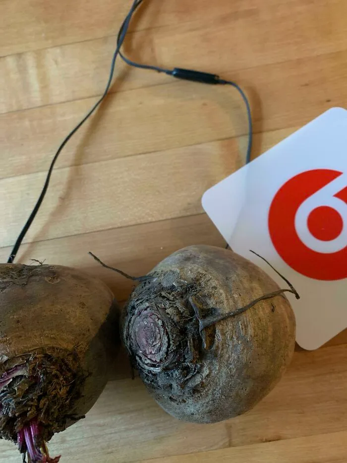 Beats headphones plugged into two beets, an unfortunate display of stupidity.