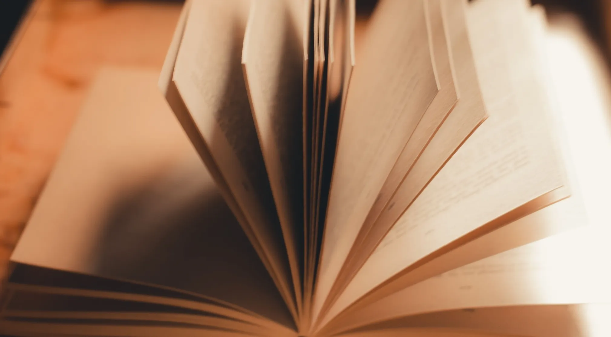 An open book with pages fanned out, representing the pursuit of wisdom. Best authorities value learning.
