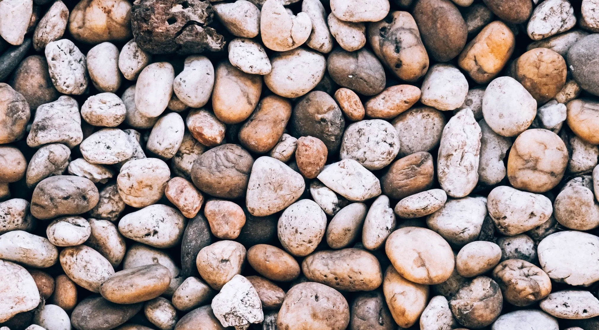 A close-up of a variety of smooth, rounded stones, ideal for a WWI recruit test question: Is a stone soft?