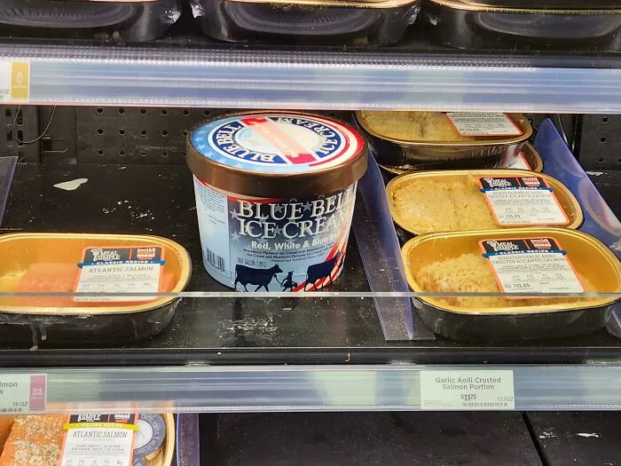 Ice Cream Next To Raw Salmon