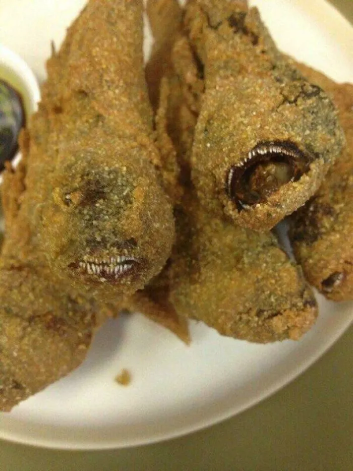 Cursed_fish