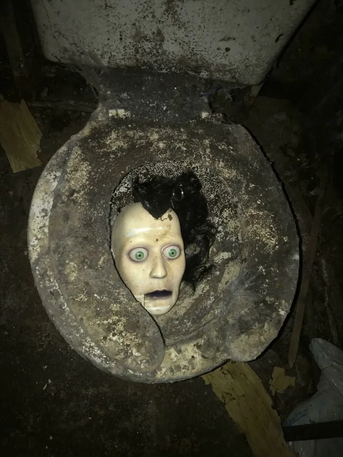 I’m A Contractor. Bought An Abandoned/Foreclosed Home To Renovate. This Was In The Basement Bathroom