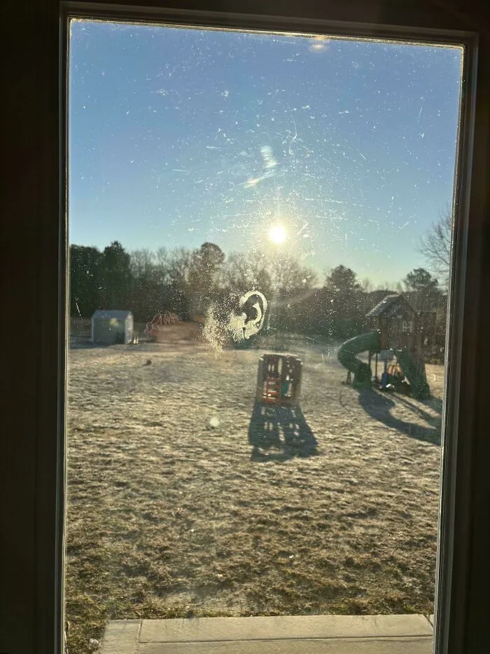 Woke Up To Find An Ear Print On My Back Door. I Will Be Buying Home Security Cameras Immediately