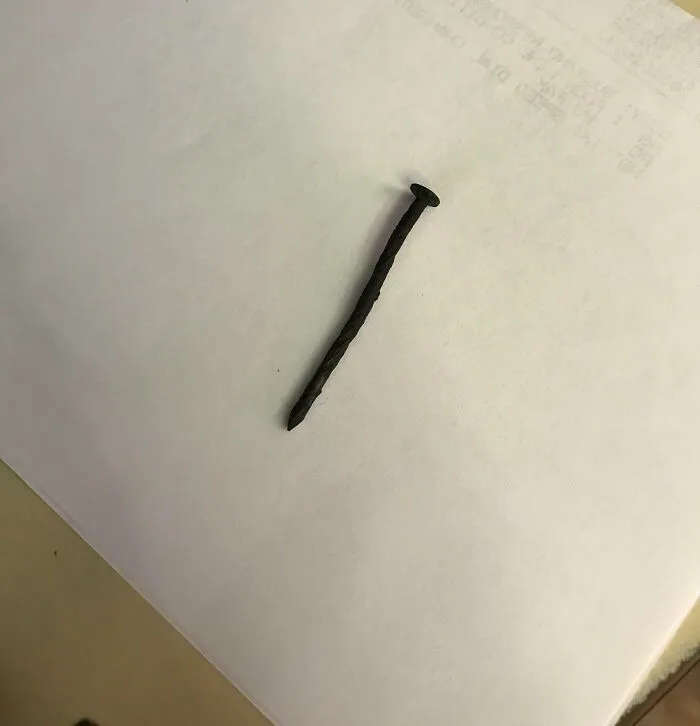 Customer Was Adamant He “Found” This In His Cheese Omelet And Demanded A Free Meal. A Dry, No-Food-Debris, Rusty Roofing Nail. If You’re Gonna Run A Scam At Least Don’t Run A Stupid One. 🙄