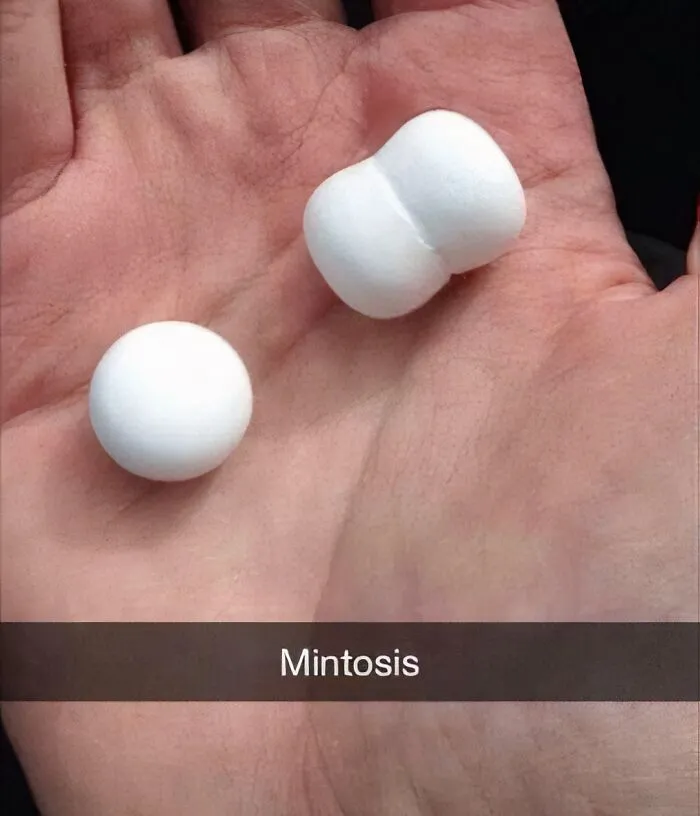 The Stupidest Joke I've Seen Today!
