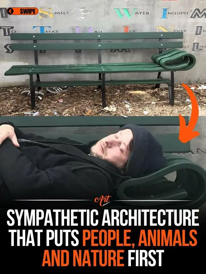 Design That Puts People, Animals And Nature First