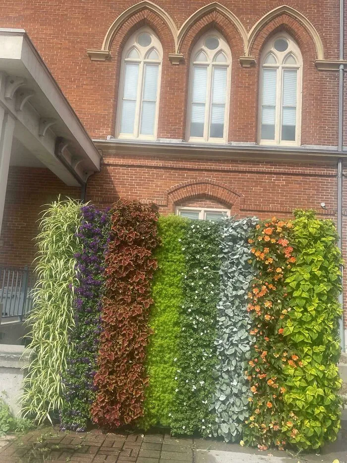 Una pared de plantas para cubrir una unidad de aire acondicionado grande y fea (Canadá)