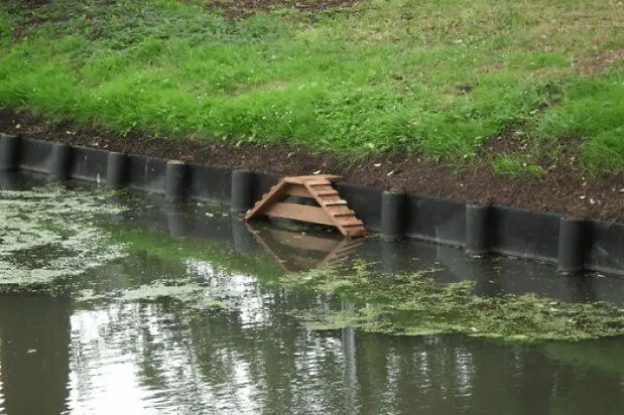 Escaleras para gatos, en Amersfoort y pronto en Ámsterdam, Países Bajos