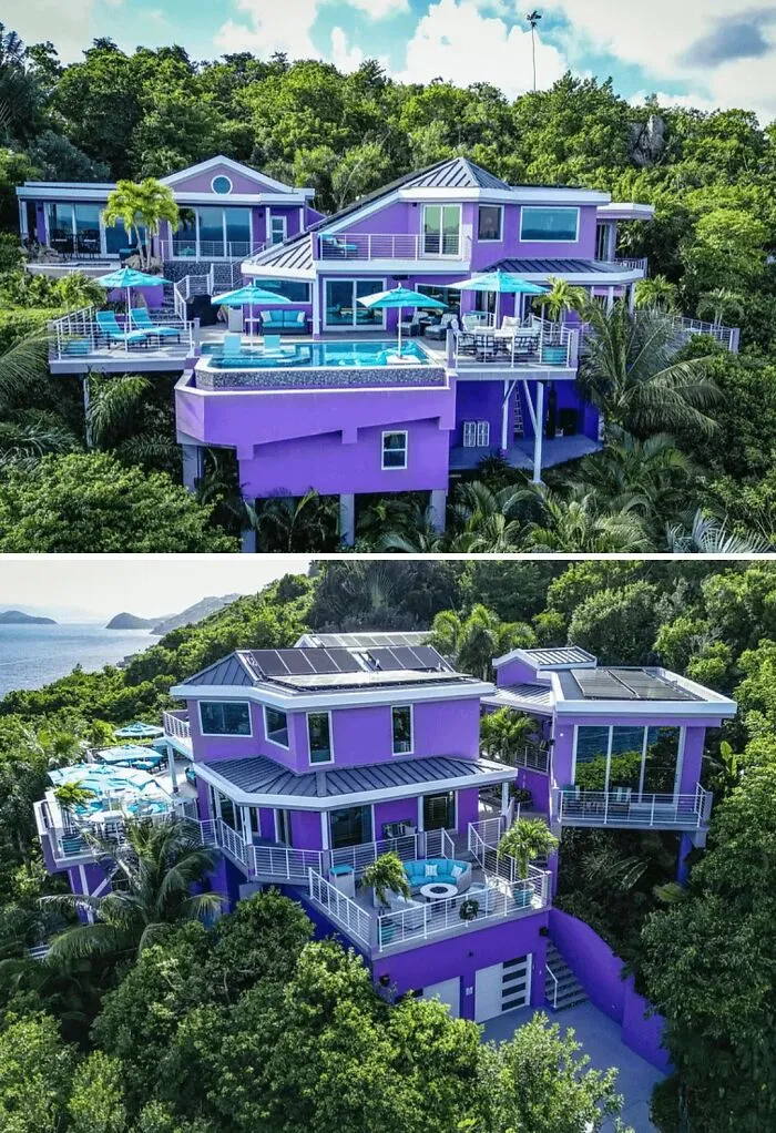 Millennial Grey? How About People-Eater Purple!